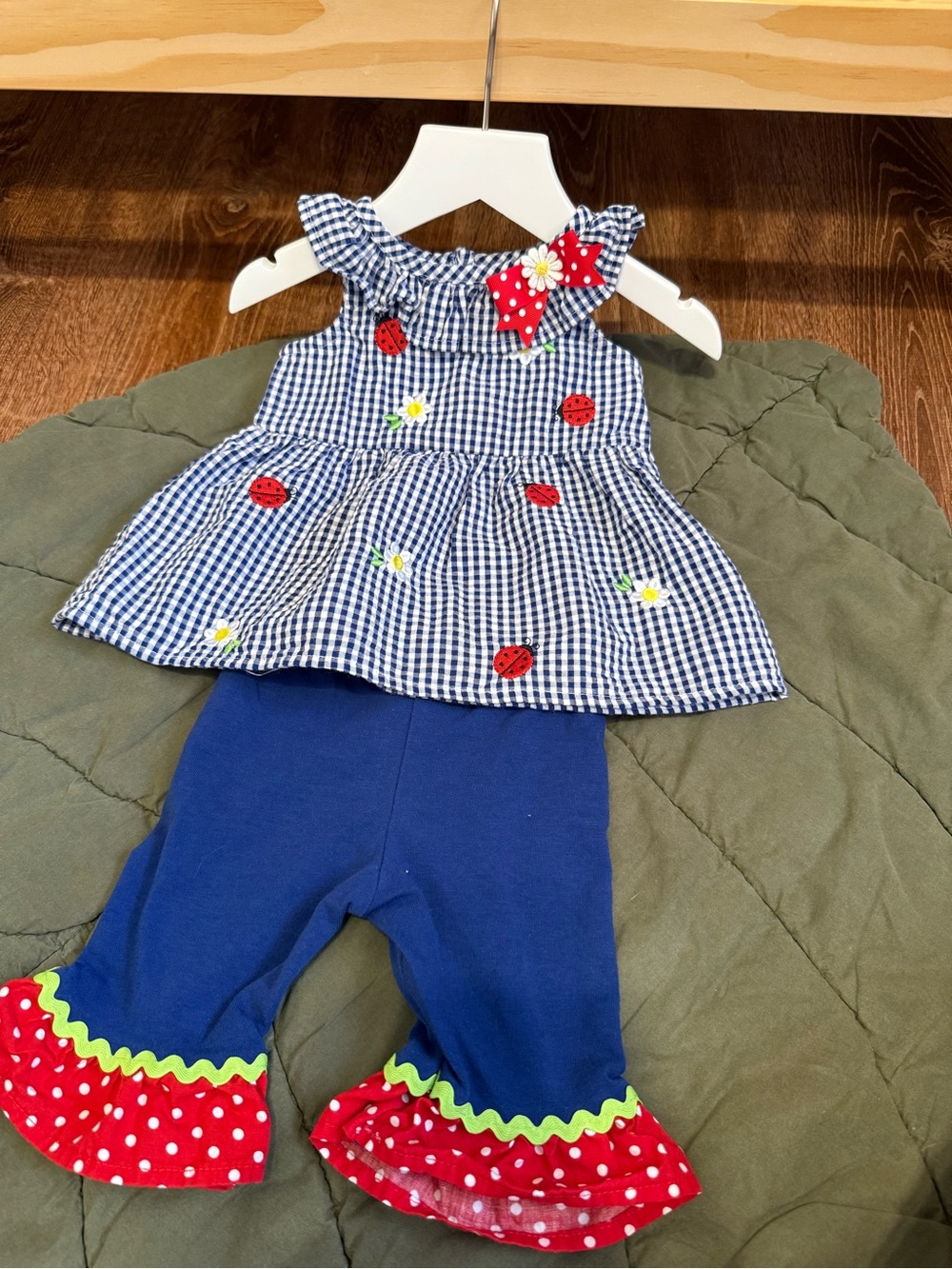 Classic Gingham Ladybug Top & Navy Ruffle Pants Set -
